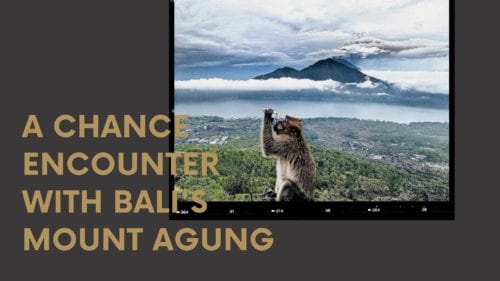 Dudefluencer: A Monkey at Mount Agung