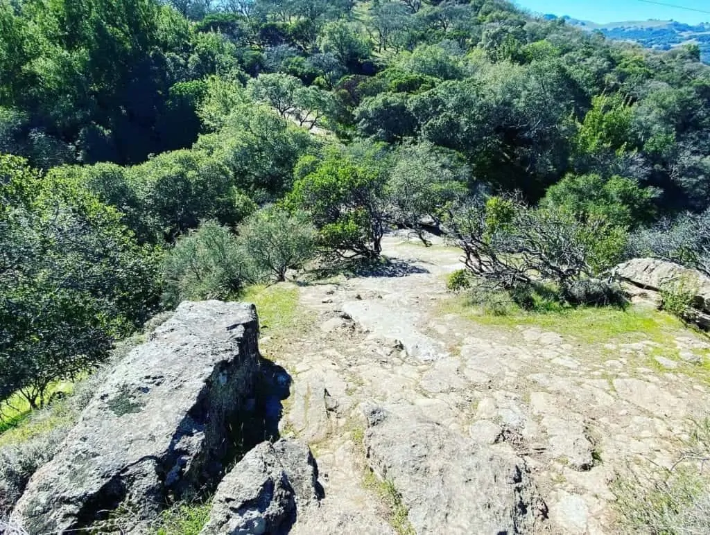 Dudefluencer: Northern California Hiking is Beautiful