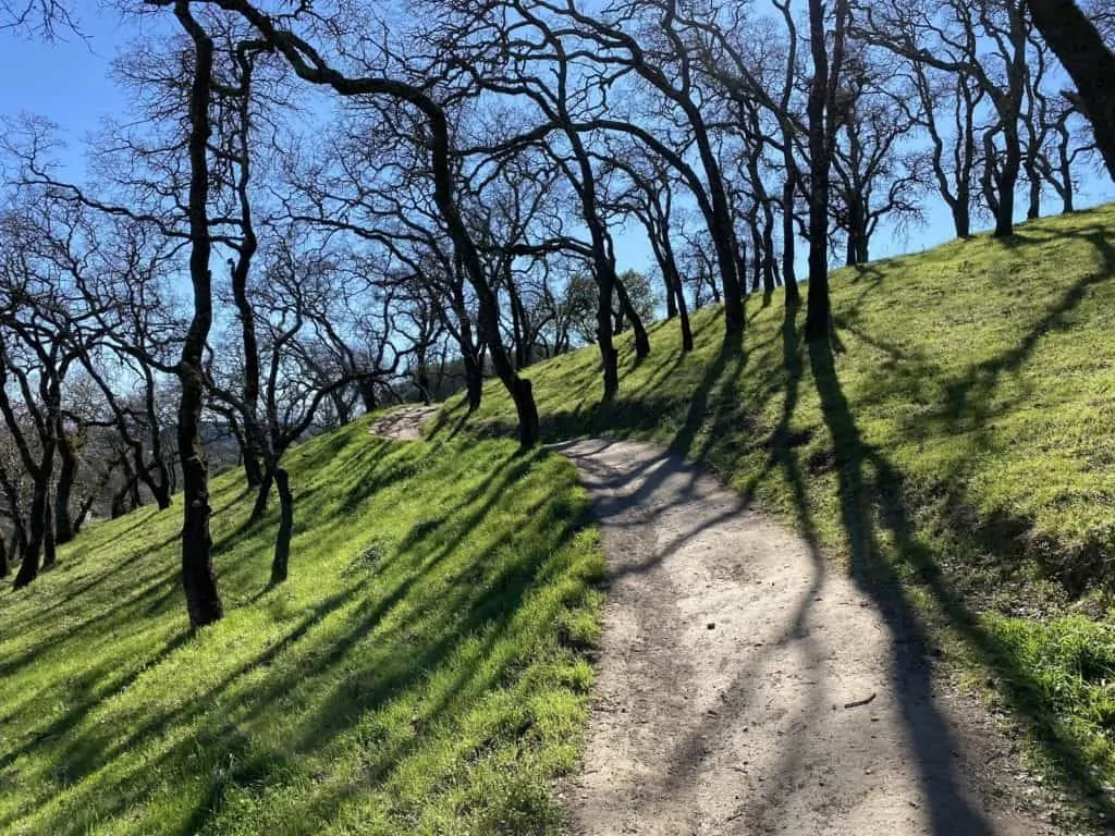 Dudefluencer: Difficult hiking trails