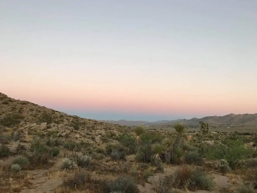 Dudefluencer: Vast Desert Landscape